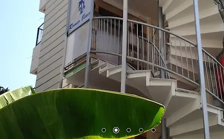 酒店 罗密欧海滩酒店